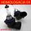 żarówka HB4-9006 55 W 12 V HOMOLOGACJA E4 - B-stok