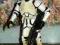 STAR WARS - CLONE TROOPER - REVENGE OF THE SITH