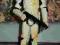 STAR WARS - SANDTROOPER - THE SAGA COLECTION