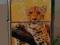 Zippo Lampart unikat 077/250 Limited Edition USA