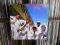 stetsasonic - in full gear (lp) / prince paul