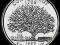 QUARTER DOLLAR - CONNECTICUT 2000 P_MENNICZE