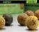 Tandem Baits Imp Boilies Homar&Rak 18mm/1kg