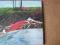 SPRING - SPRING - 2 LPS - LP AKARMA NOWY