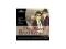 MUSICALE - THE BLUES BROTHERS