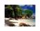 Seychelles (Plaża) - reprodukcja 60x80 cm