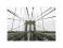 Brooklyn Bridge wide angle - reprodukcja 60x80 cm