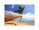 Tropikalna Plaża, Palma - reprodukcja 60x80 cm