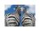 Zebry, Zebra (Miłość) - reprodukcja 60x80 cm