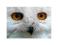 Biała Sowa (Oczy) - reprodukcja 60x80 cm