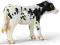 MG SCHLEICH Figurka Cielę rasy Holstein 13634