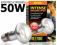 [E-C] żarówka dzienna __ TIGHT-BEAM 50W _exo terra