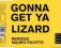 MAURO PICOTTO - GONNA GET YA LIZARD REMIXES [MCD]