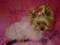 FUTERKO DLA DAMY :))) SUPER NA MROZY! rozm. L