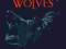 TOWARZYSTWO WILKÓW - THE COMPANY OF WOLVES JORDAN