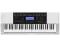 Casio CTK 4200 Keyboard HIFI Gniezno