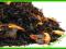 Pyszny EARL GREY Podany Z CYTRYNĄ (50g) Polecam!