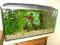 akwarium zestaw z rybkami 200L SUPER Białystok