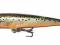 Rapala Original Floater 9cm, 5g, F09 RFSM