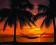 Zachód Słońca, Plaża, Hamak - plakat 50x40cm