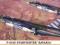 HAS-00256 F-104G STARFIGHTER BAVARIA HASEGAWA