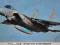 HAS-00381 F-15J EAGLE HASEGAWA