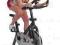 Rower spiningowy Christopeit XL1 kolo 18 kg