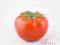 Sztuczne owoce warzywa pomidor dekoracja