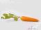 Sztuczne deko owoce warzywa marchewka SUPER JAKOŚĆ