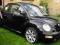 NEW BEETLE ZADBANY OD KOBIETY!!!!