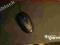 Roccat Kone & Roccat Taito SUPER CENA