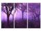 Obraz Fioletowy poranek 120x80