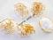 ~ AZA24 ~KWIATKI złoty brzeg~  scrapki ~ 5 szt ~