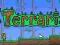 Terraria STEAM GIFT