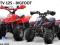 Quad BIG FOOT 125cc !!!od importera!!! hurt, detal