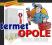 TERMET electronic G 19-02 (piecyki) Z MONTAŻEM pl