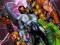 New Thunderbolts Vol. 1: One Step Forward TPB !!