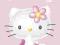 Hello Kitty - RÓŻNE plakaty 40x50 cm - Koty