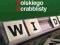 SCRABBLE Oficjalny słownik scrabblisty +Adibu #KD#