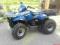 QUAD Polaris 455