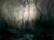 OPETH Blackwater Park 2LP 180g + DVD NOWA !