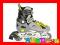 ROLKI ROOKIE reg 40-43 SPOKEY ABEC5