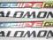 narty SALOMON EQUIPE GC RACE 162 cm + wiąz [L2376]