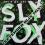 SLY FOX - LET'S GO ALL THE WAY (EXTENDED BLIX MIX)