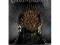 Gra o Tron / Game of Thrones PC PL JUŻ JEST!! SGV