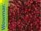 Pieprz czerwony 500g