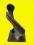 Strażak fi 120-150 Roto - Inox nasada kominowa