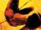 DAREDEVIL REBORN #2