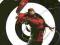 DARK REIGN: THE LIST -DAREDEVIL