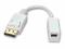 Adapter gn. Mini DisplayPort - wt. DP 0,2m Lindy